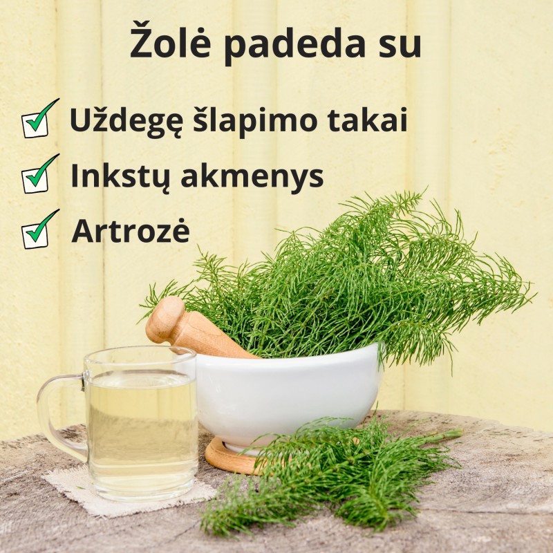 Asiūklio stiebas - 3x70g