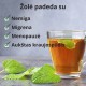 Citrininis balzamas - 3x40g