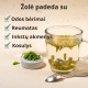 Pušies antgaliai - 3x50g
