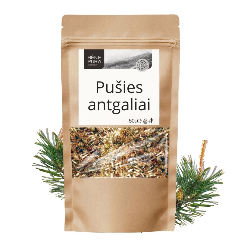 Pušies antgaliai - 3x50g - Vaistažolės
