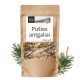 Pušies antgaliai - 3x50g