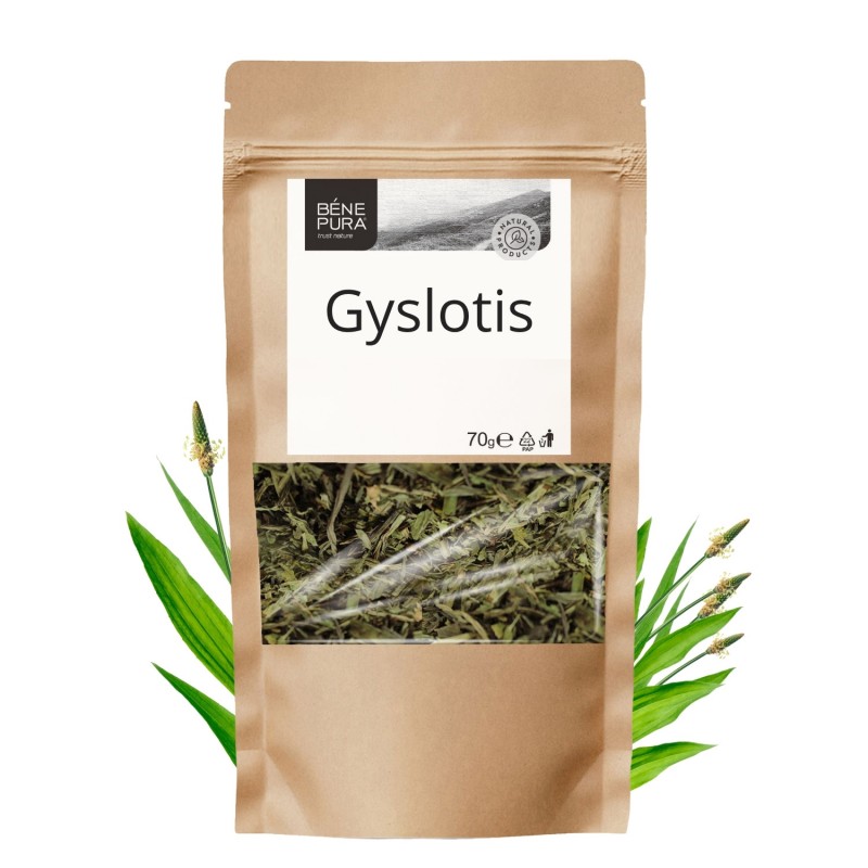 Gyslotis - 3x70g - Vaistažolės