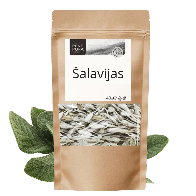 Šalavijas - 3x40g - Vaistažolės