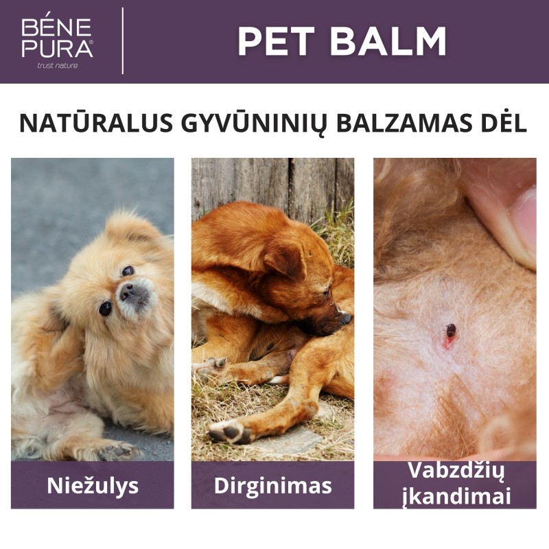 Tepalai šunims Rinkinys