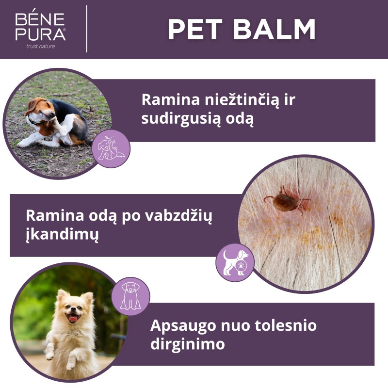 Tepalai šunims Rinkinys