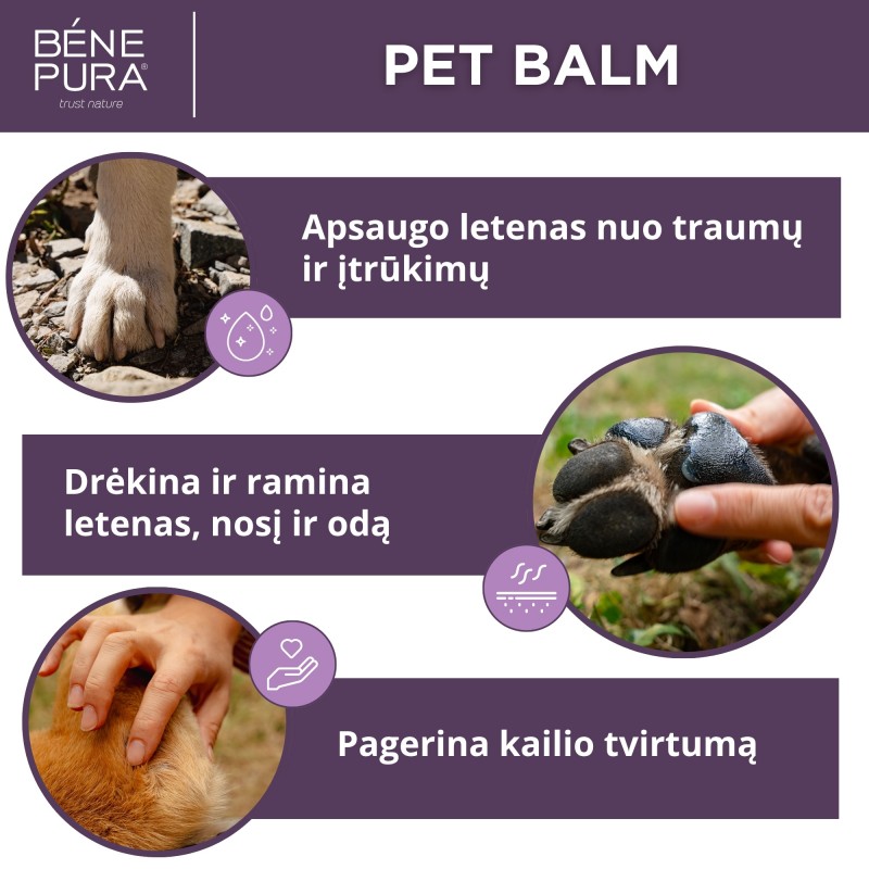 Tepalai šunims Rinkinys