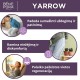 Tepalas nuo Hemorojaus su Baltaisiais Kraujažolėmis - 40ml