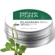 Tepalas nuo Niežėjimo su Gyslotis  - 40ml
