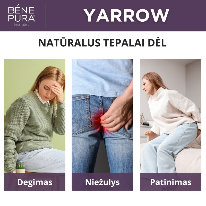 Tepalas nuo Hemorojaus su Baltaisiais Kraujažolėmis - 40ml