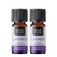 2x Bio Levandų Eterinis aliejus - 10ml