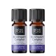 2x Bio Rozmarinu Kamparo Eterinis aliejus - 5ml