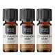 3x Bio Cinamono Eterinis aliejus - 10ml