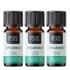 3x Bio Šaltmėtė Eterinis aliejus - 5ml