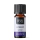 Bio Isopų Eterinis aliejus - 5ml