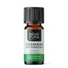Bio Pelargonijų Eterinis aliejus - 10ml
