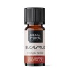 Bio Spindulinis Eukaliptas Eterinis aliejus - 5ml