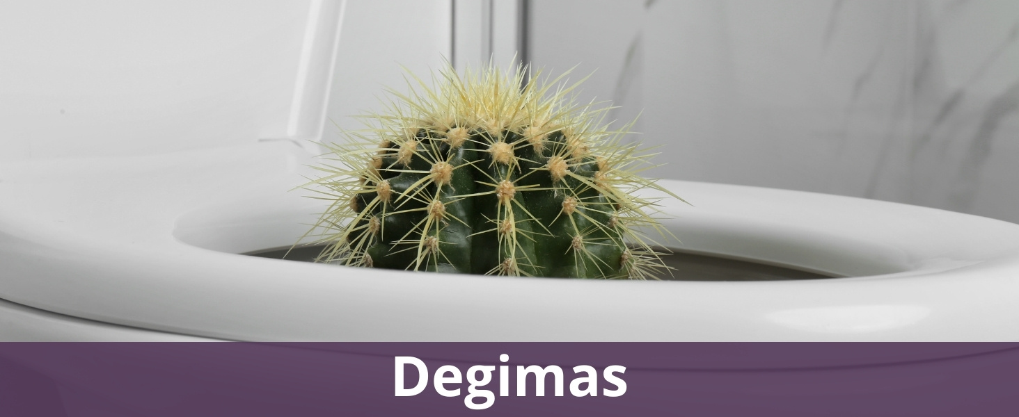 Degimas