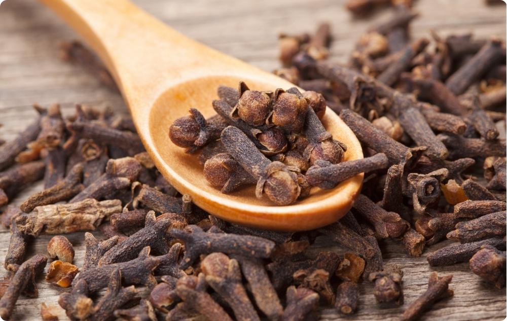 Kuo padeda Gvazdikėlių Eterinis aliejus?