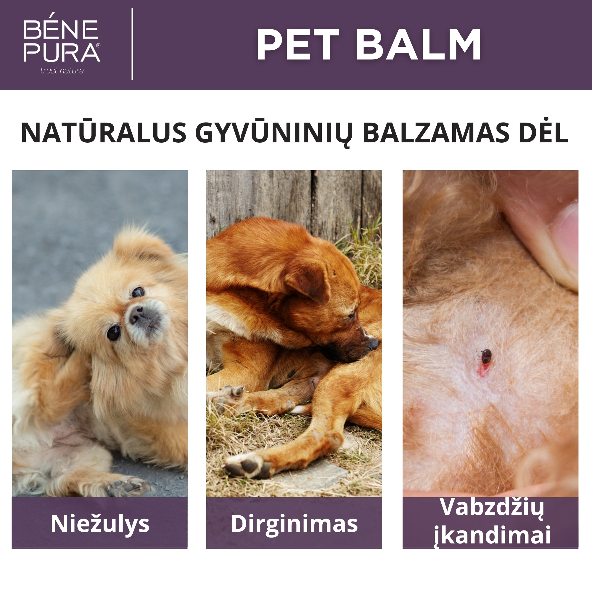 "Tepalai šunims" Rinkinys