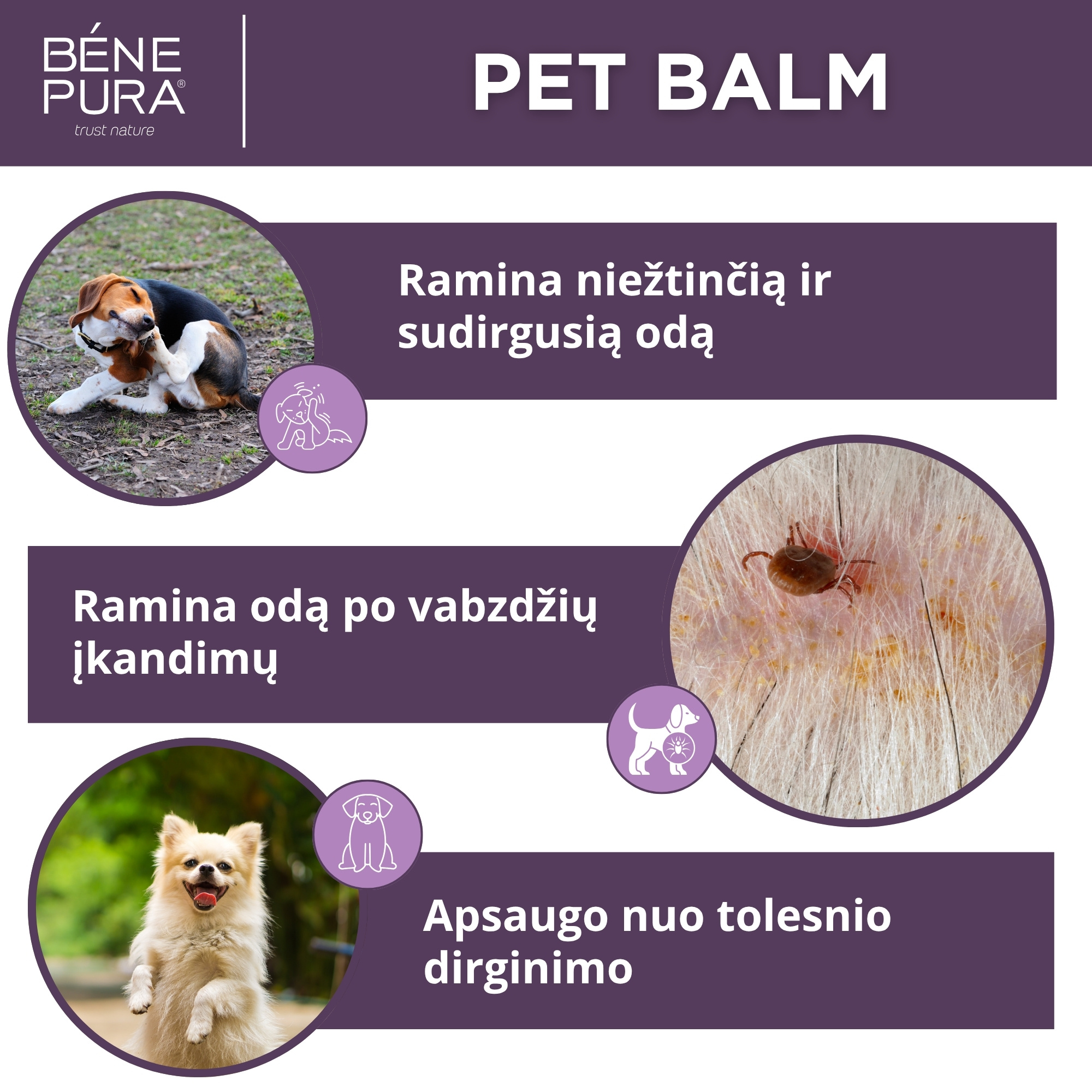 "Tepalai šunims" Rinkinys