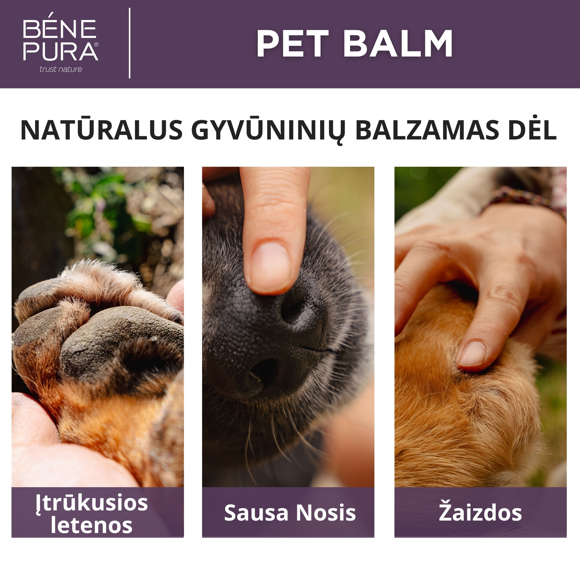 "Tepalai šunims" Rinkinys