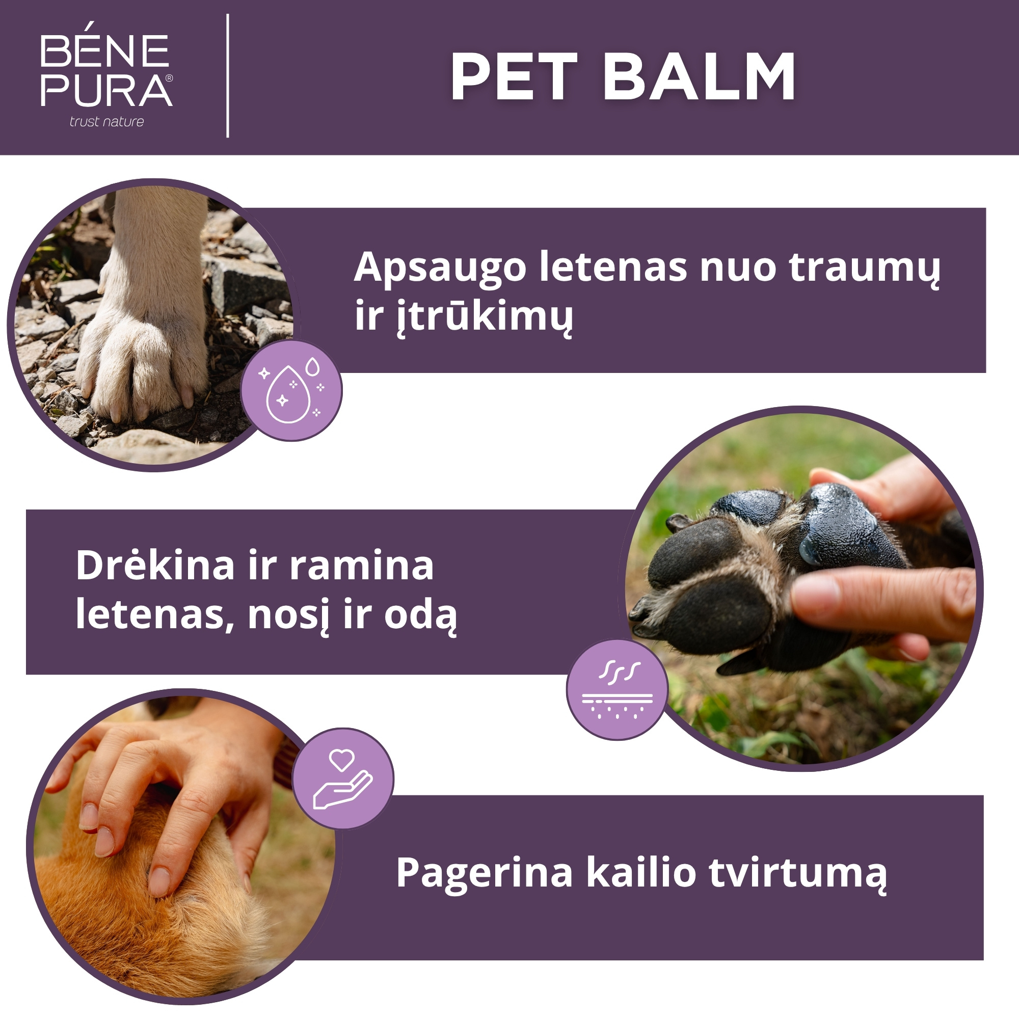 "Tepalai šunims" Rinkinys