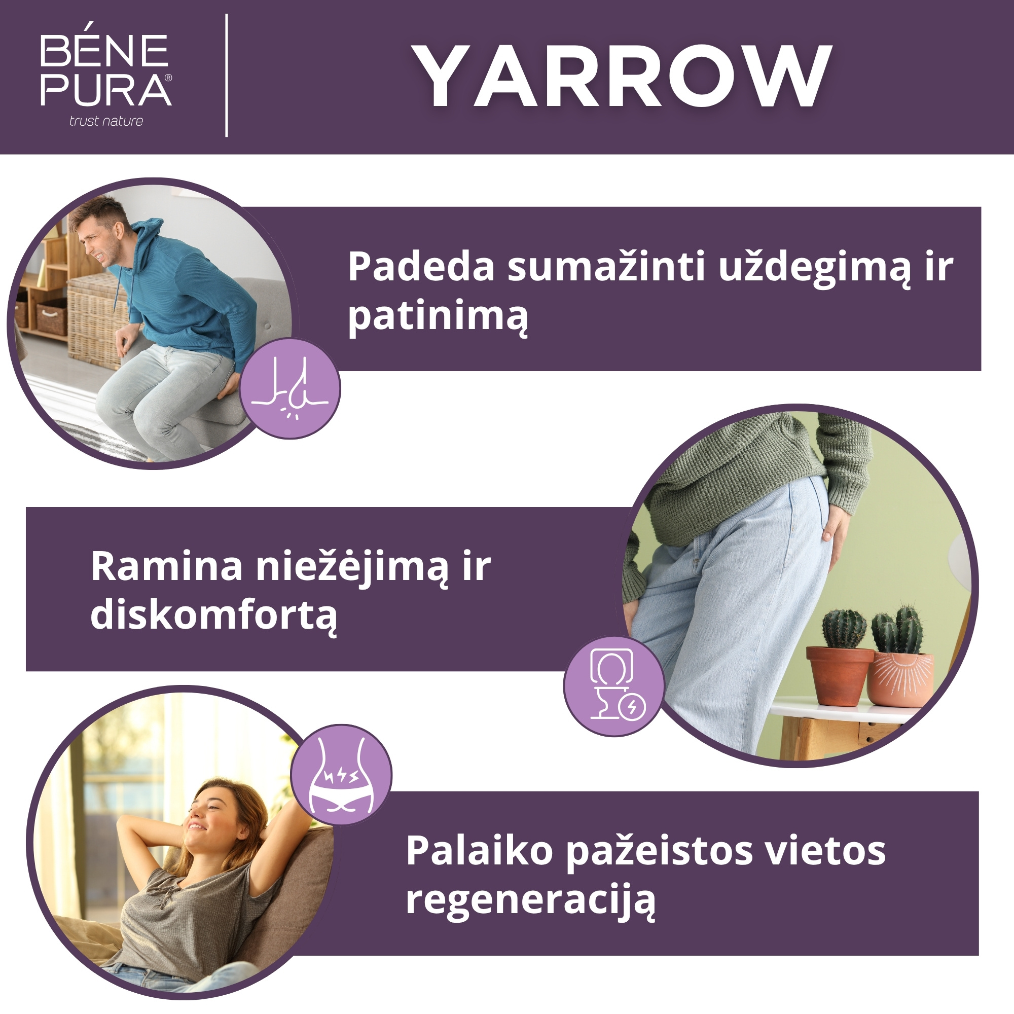 Tepalas nuo Hemorojaus su Baltaisiais Kraujažolėmis - 40ml